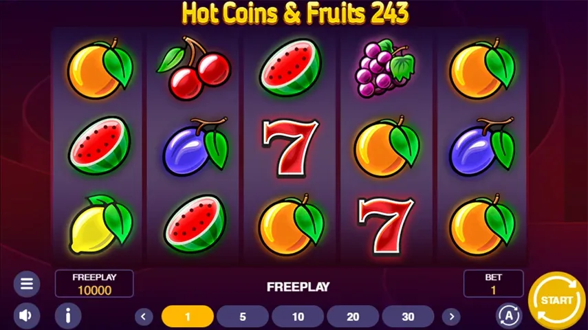 Hot Coins & Fruits 243 key art from 1spin4win, showing the fruit symbols and gold coins around the game logo