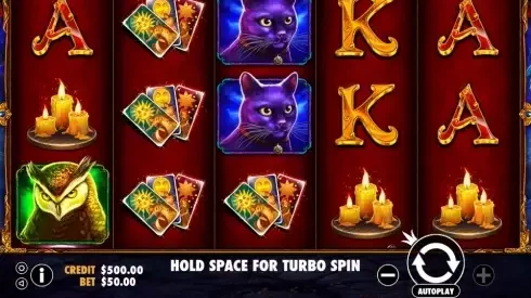 Madame Destiny fortune-teller reels and mystic symbols