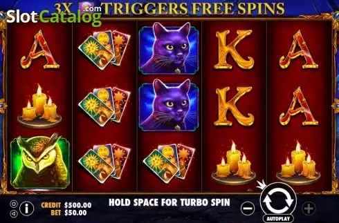 Madame Destiny fortune-teller reels and mystic symbols