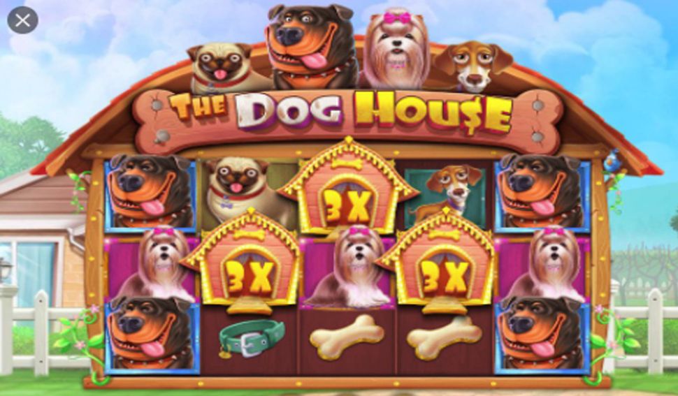 The Dog House slot reels and kennel backyard theme